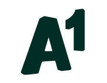 A1