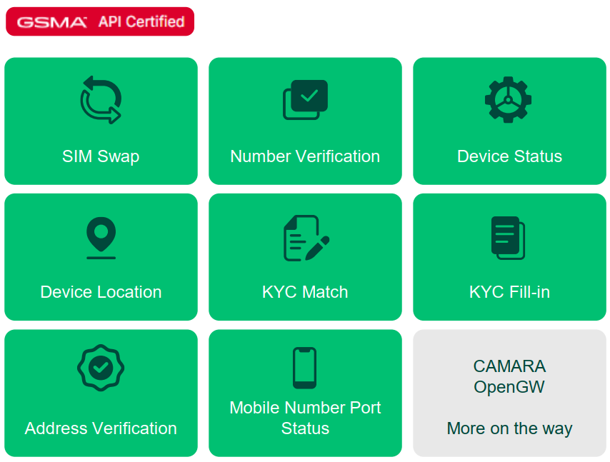 GMS Network APIs Enablement Platform Capabilities